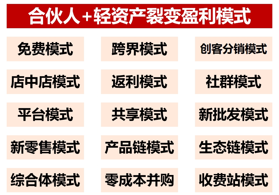 15个合伙人+轻资产裂变盈利模式.png